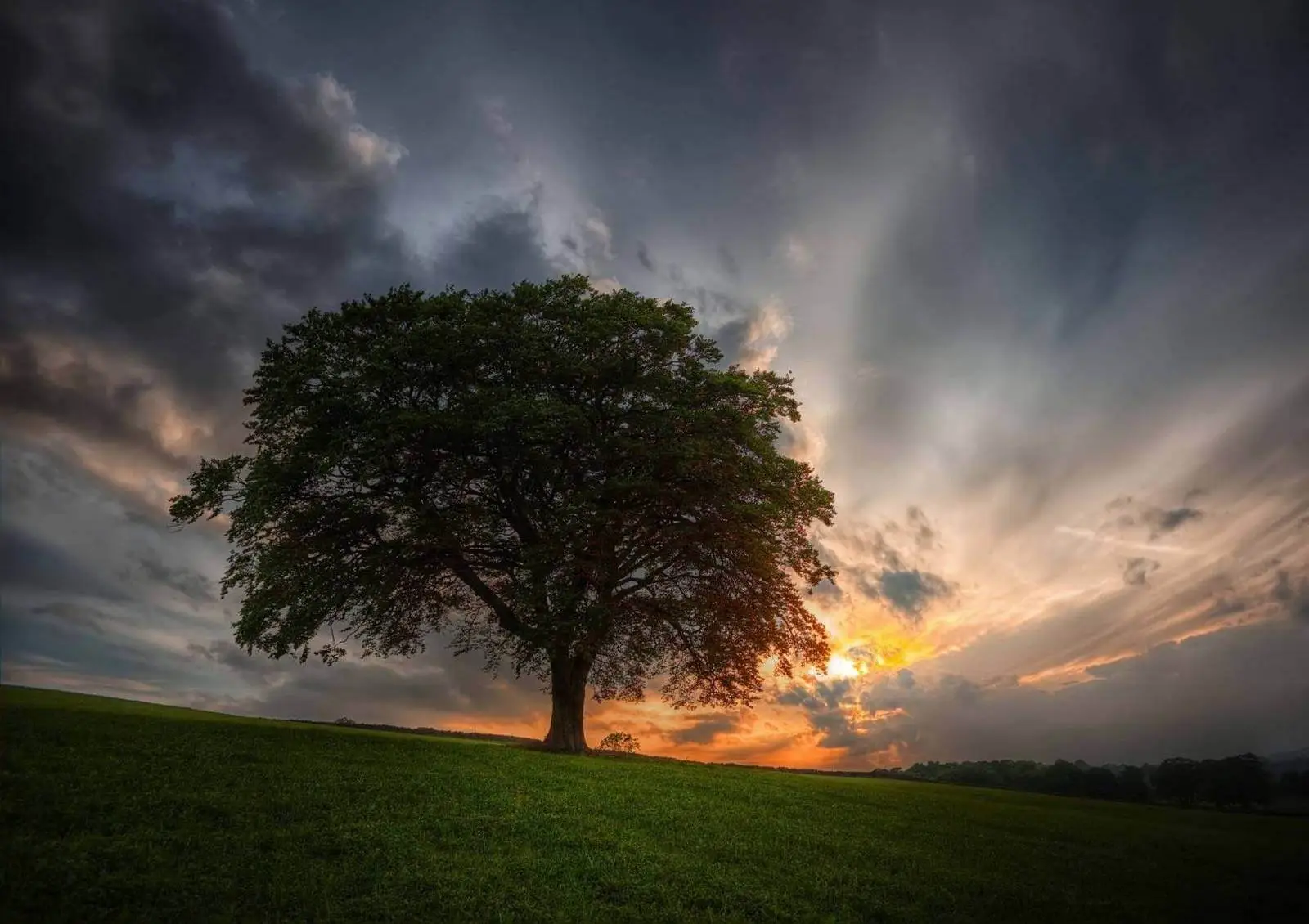 Ритуальное бюро в Киеве